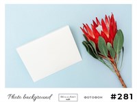 Фотофон виниловый MILLIART NAILS 30*42 см №281 Фотофон 281