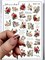 Слайдер-дизайн MilliArt Nails MAX-304 MAX-304 - фото 24206